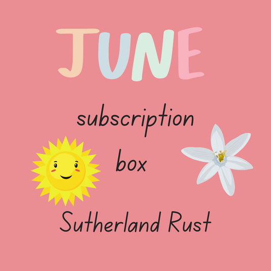 June Home Fragrance Subscription Box